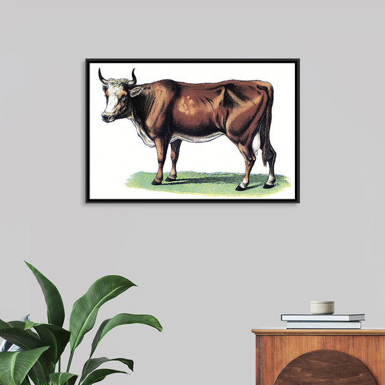 "Vintage Cow Art"