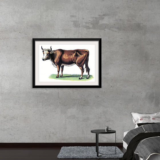 "Vintage Cow Art"