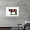 "Vintage Cow Art"