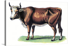  This vintage illustration of a brown and white cow is a charming and nostalgic piece of art. The cow is standing in a field of grass, and it is looking directly at the viewer with its big, soulful eyes.