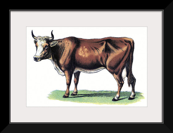 "Vintage Cow Art"