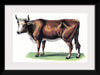 "Vintage Cow Art"