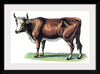 "Vintage Cow Art"