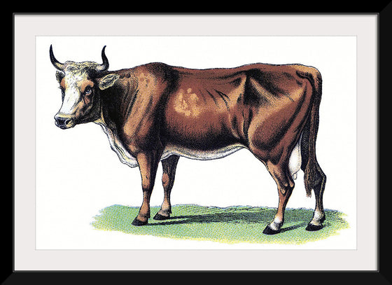 "Vintage Cow Art"