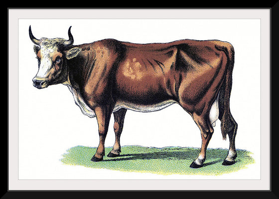 "Vintage Cow Art"