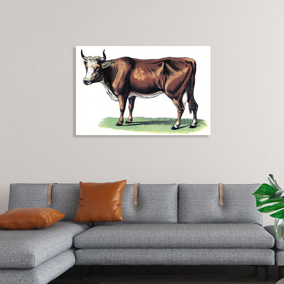 "Vintage Cow Art"