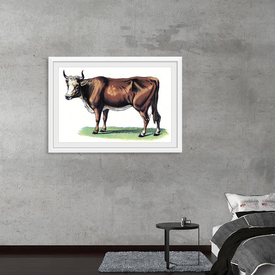 "Vintage Cow Art"