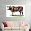 "Vintage Cow Art"