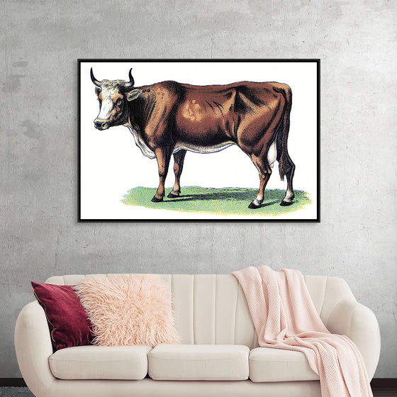 "Vintage Cow Art"