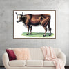 "Vintage Cow Art"