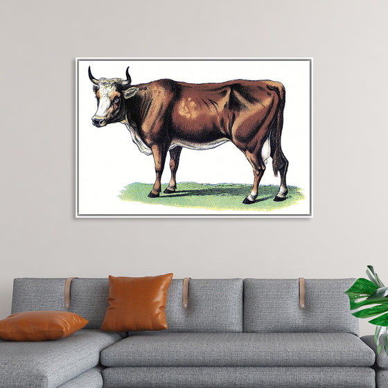 "Vintage Cow Art"