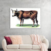 "Vintage Cow Art"