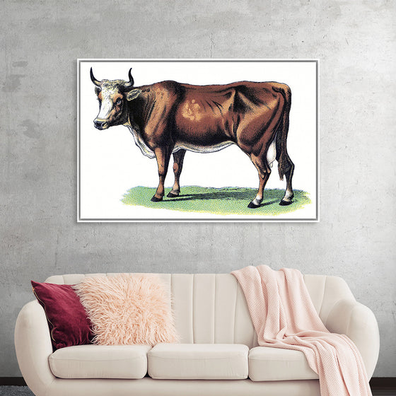 "Vintage Cow Art"