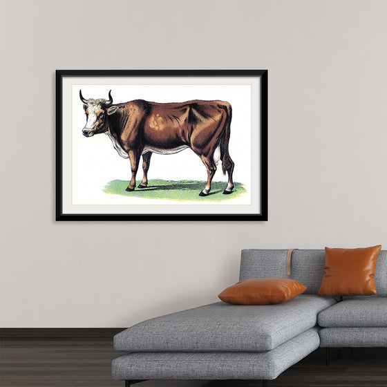 "Vintage Cow Art"