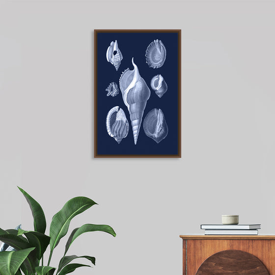 "Shells Blue Art Poster"
