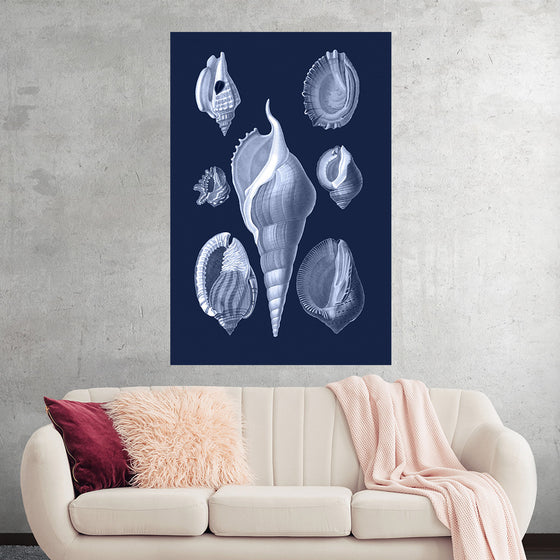 "Shells Blue Art Poster"