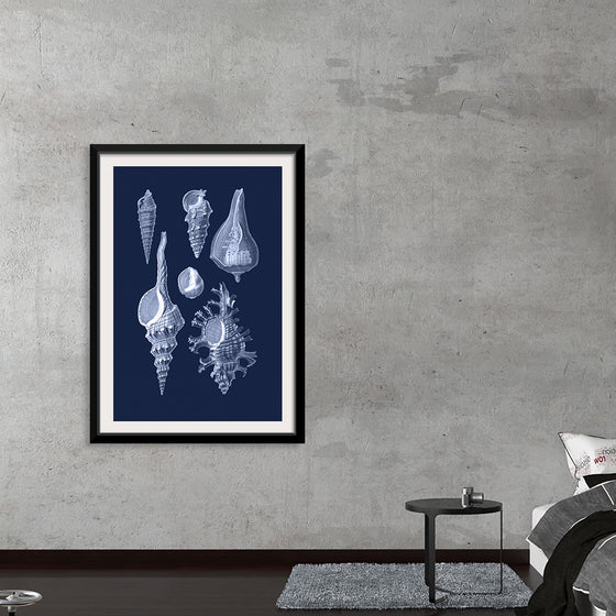 "Shells Blue Art Poster 2"