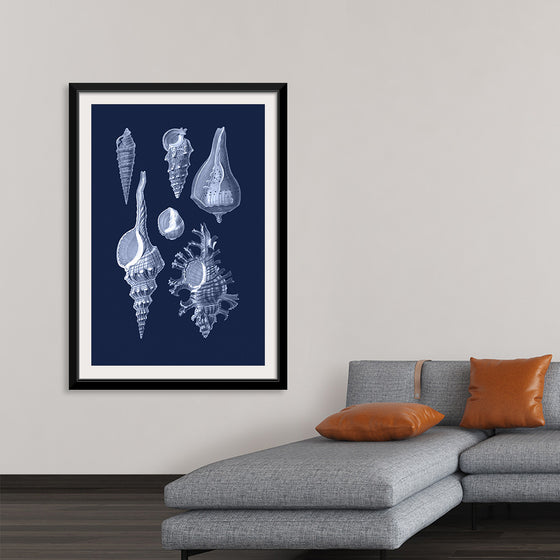 "Shells Blue Art Poster 2"