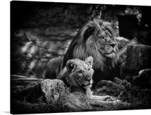  Immerse yourself in the majestic allure of “The Royal Gaze,” a limited edition print capturing the intense and captivating gaze of a lion and lioness, rendered in exquisite black and white detail. Every strand of their magnificent manes, the profound depth in their eyes, and the serene yet powerful posture they hold is meticulously captured.