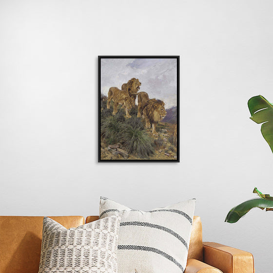 "Three Lions Walking Down A Rocky Hillside", Geza Vastagh