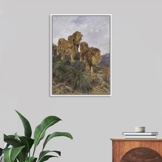 "Three Lions Walking Down A Rocky Hillside", Geza Vastagh