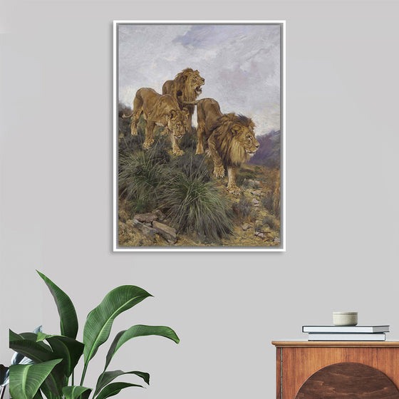 "Three Lions Walking Down A Rocky Hillside", Geza Vastagh