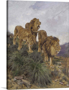  Embark on a majestic journey with this captivating print of three lions confidently traversing a rocky hillside, a timeless masterpiece by the renowned Hungarian artist Géza Vastagh.  Captured in a moment of regal elegance, the lions' powerful figures, adorned with magnificent manes, exude an aura of authority and confidence as they navigate the challenging terrain. 