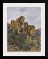 "Three Lions Walking Down A Rocky Hillside", Geza Vastagh