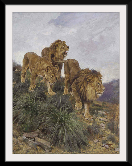 "Three Lions Walking Down A Rocky Hillside", Geza Vastagh