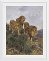 "Three Lions Walking Down A Rocky Hillside", Geza Vastagh