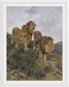 "Three Lions Walking Down A Rocky Hillside", Geza Vastagh