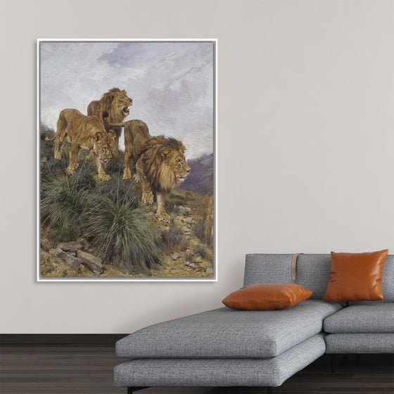 "Three Lions Walking Down A Rocky Hillside", Geza Vastagh