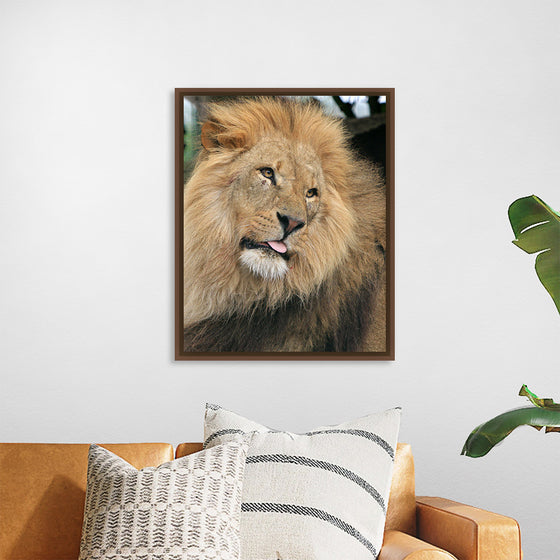 "King of the Jungle", Karen Arnold