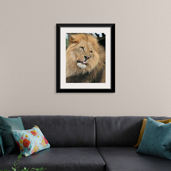 "King of the Jungle", Karen Arnold