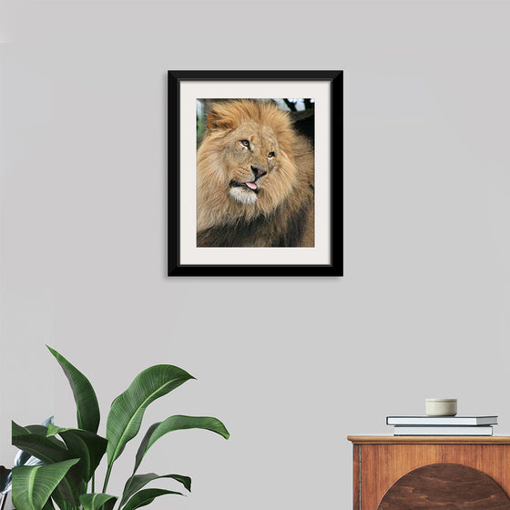 "King of the Jungle", Karen Arnold