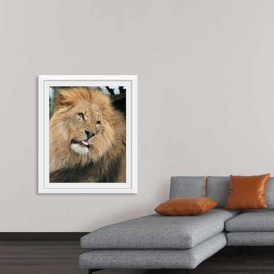 "King of the Jungle", Karen Arnold