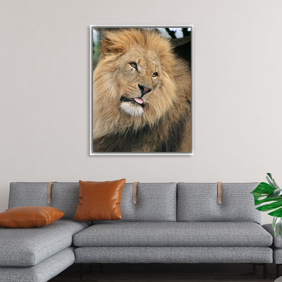 "King of the Jungle", Karen Arnold