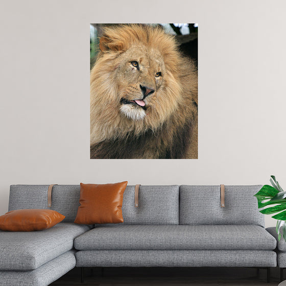 "King of the Jungle", Karen Arnold