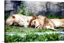  Admire the majestic slumber of two lions basking in the warmth of the sun with this captivating print by Linnaea Mallette.  Evoking the tranquility of a zoo's serene surroundings, this watercolor-inspired artwork captures the essence of leonine repose. 