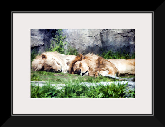 "Sleeping Lions", Linnaea Mallette