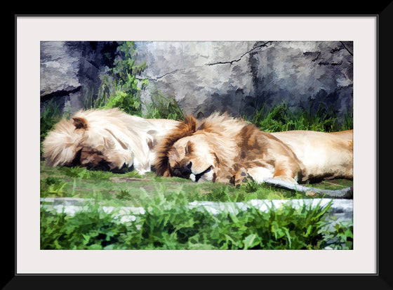 "Sleeping Lions", Linnaea Mallette