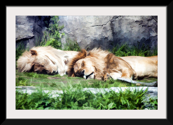 "Sleeping Lions", Linnaea Mallette