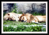 "Sleeping Lions", Linnaea Mallette