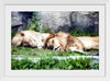 "Sleeping Lions", Linnaea Mallette