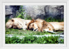 "Sleeping Lions", Linnaea Mallette