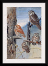 "Hawk Owl, Screech Owl, Richardson’s Owl, Saw-whet Owl", Louis Agassiz Fuerte