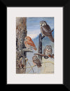 "Hawk Owl, Screech Owl, Richardson’s Owl, Saw-whet Owl", Louis Agassiz Fuerte