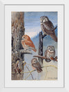 "Hawk Owl, Screech Owl, Richardson’s Owl, Saw-whet Owl", Louis Agassiz Fuerte