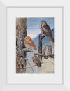 "Hawk Owl, Screech Owl, Richardson’s Owl, Saw-whet Owl", Louis Agassiz Fuerte