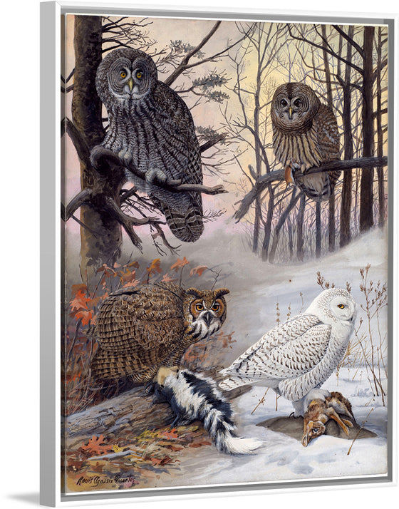 "Great Gray Owl, Barred Owl, Great Howned Owl, Snowy Owl", Louis Agassiz Fuertes